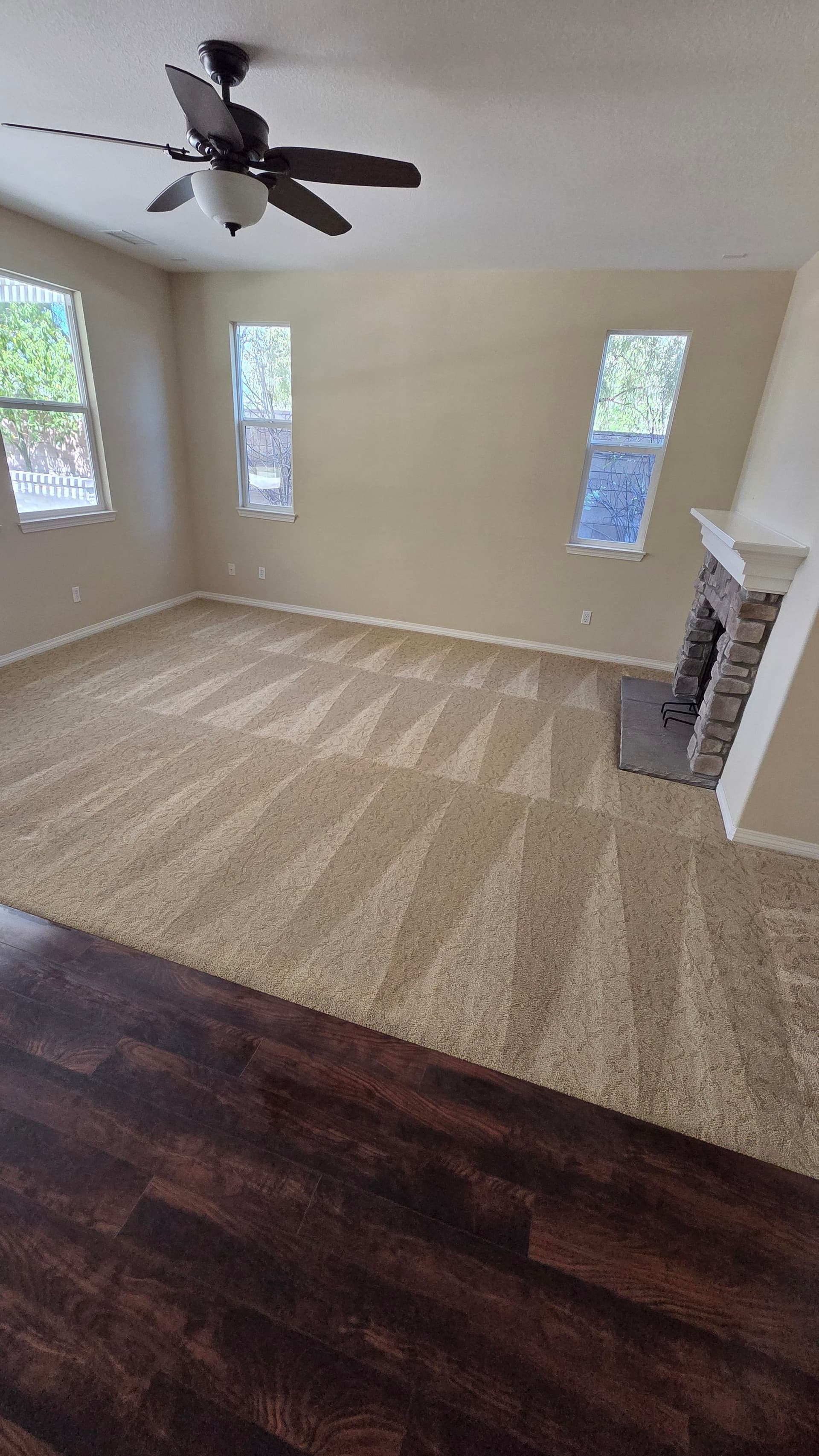 Gallery photos for A Deep Clean That Makes Your Living Room Feel Brand New: Image #1