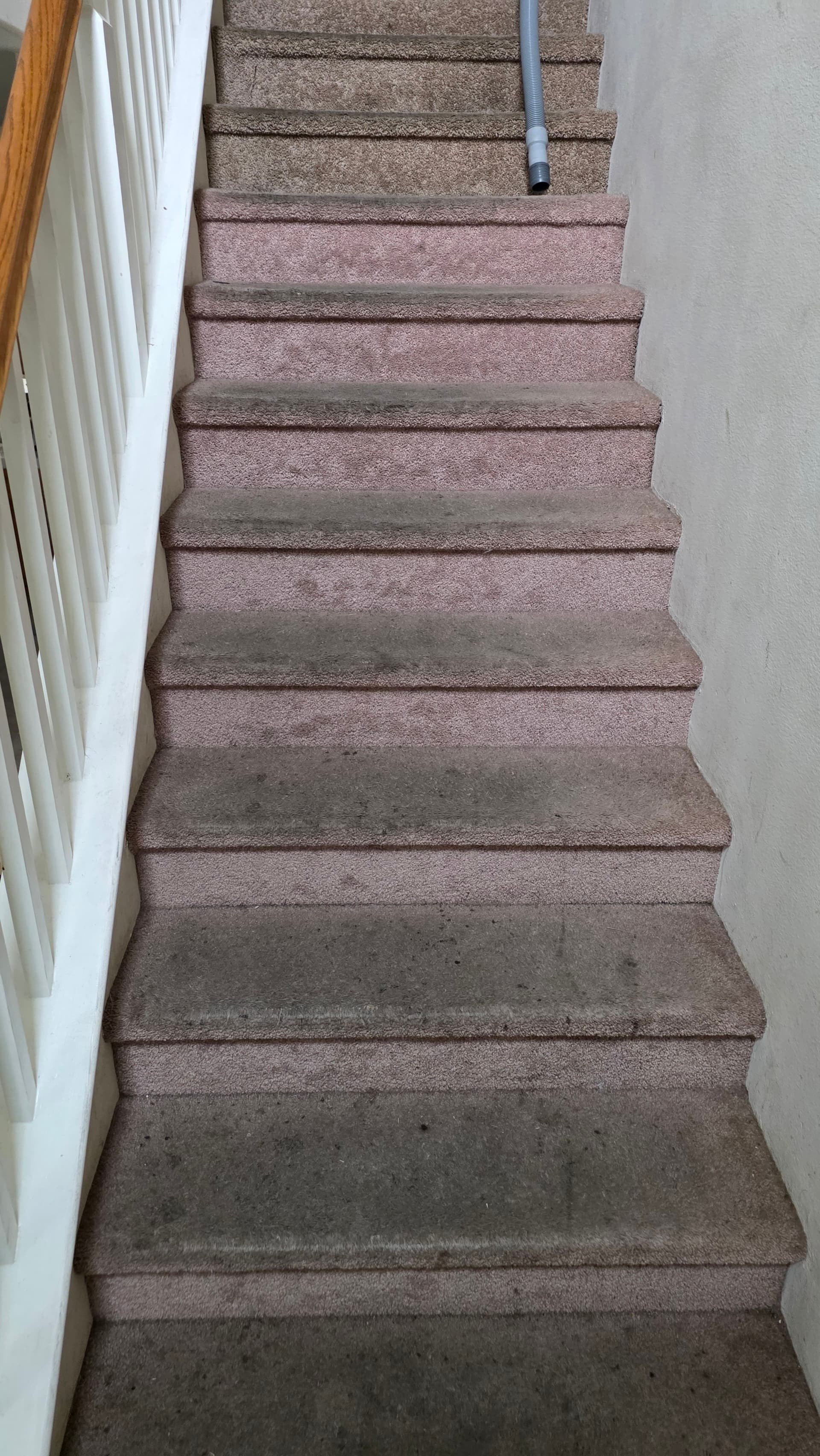 Carpeted Stairs Were Built to Take a Beating - Here's How We Handle It image