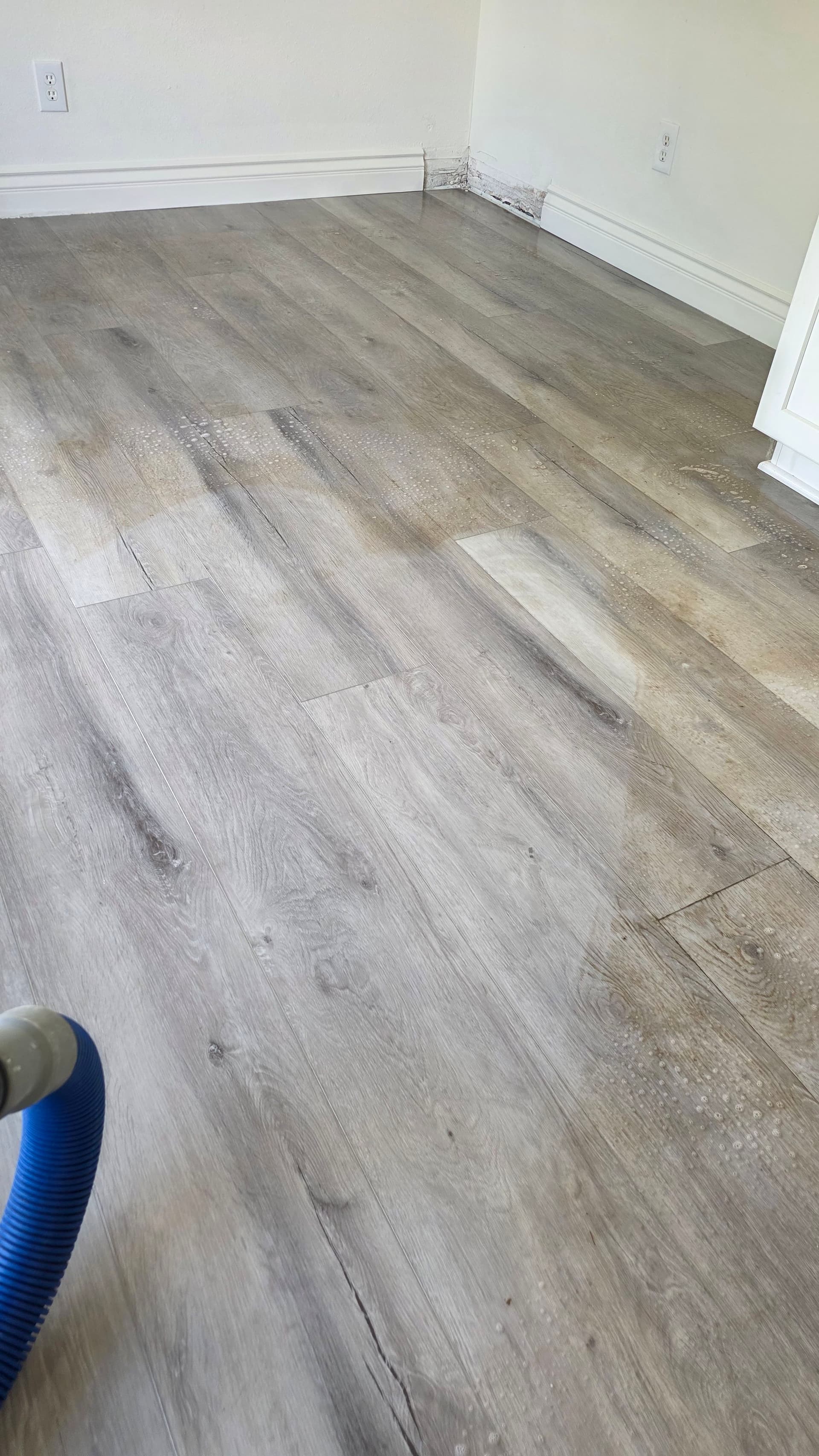 Why Your LVP Floors Still Look Dirty After Mopping image