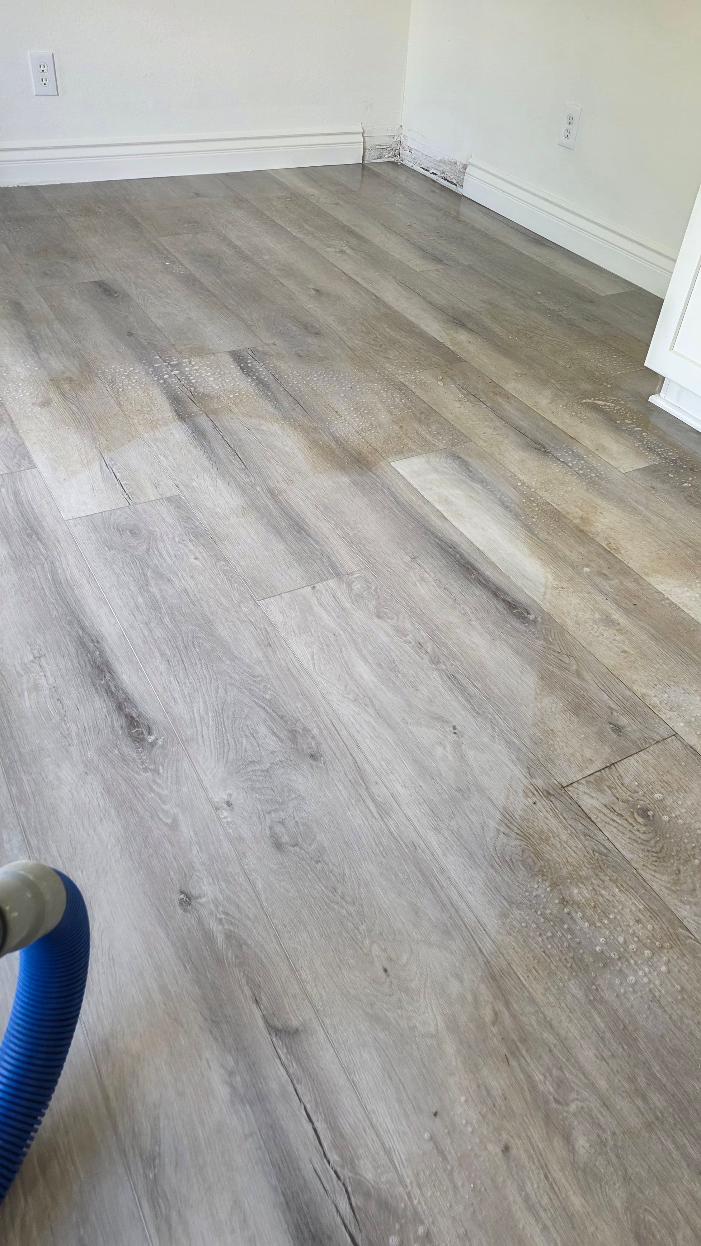 Project Why Your LVP Floors Still Look Dirty After Mopping image