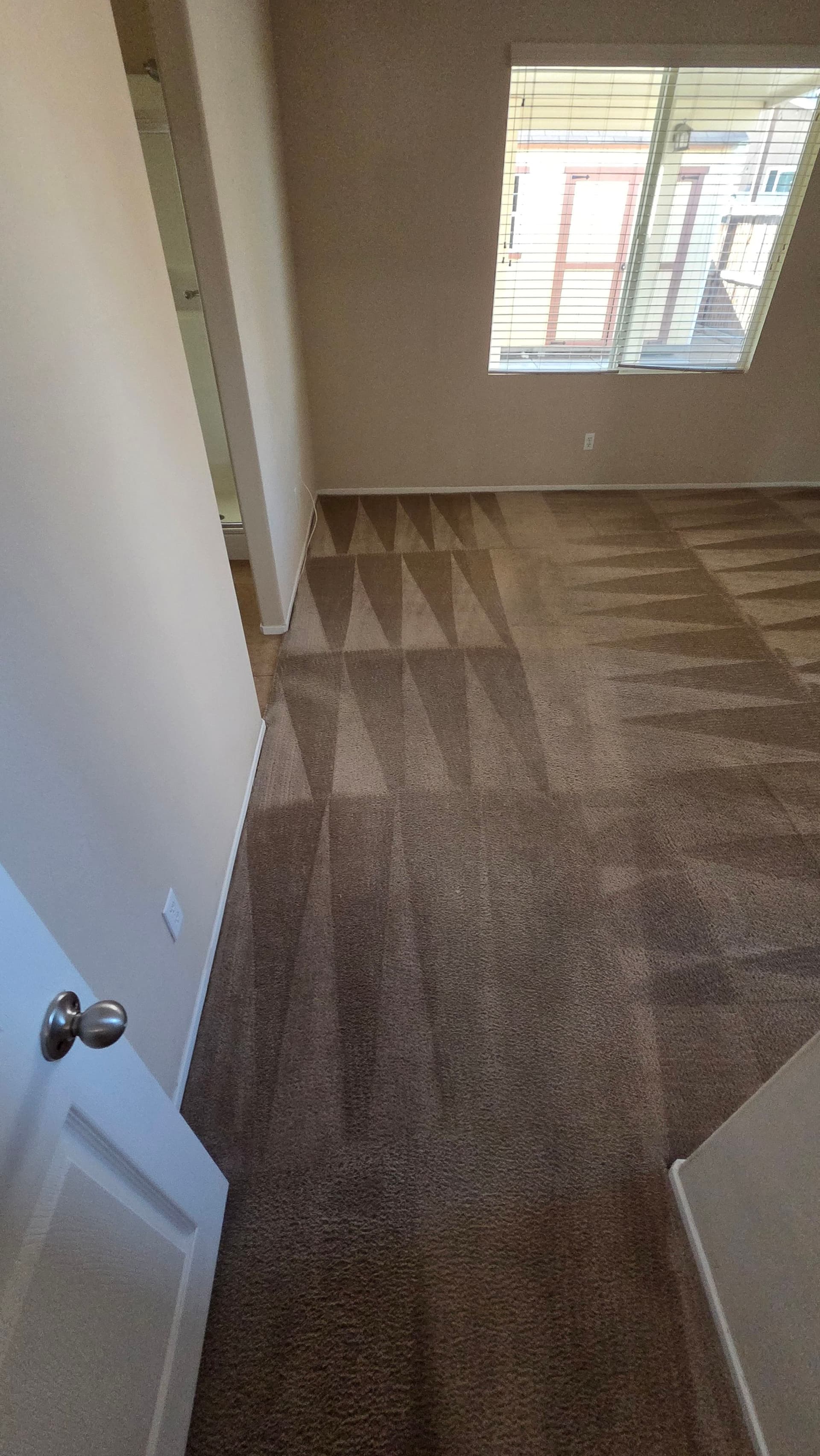 Move-In Ready Carpet Cleaning Done Right image