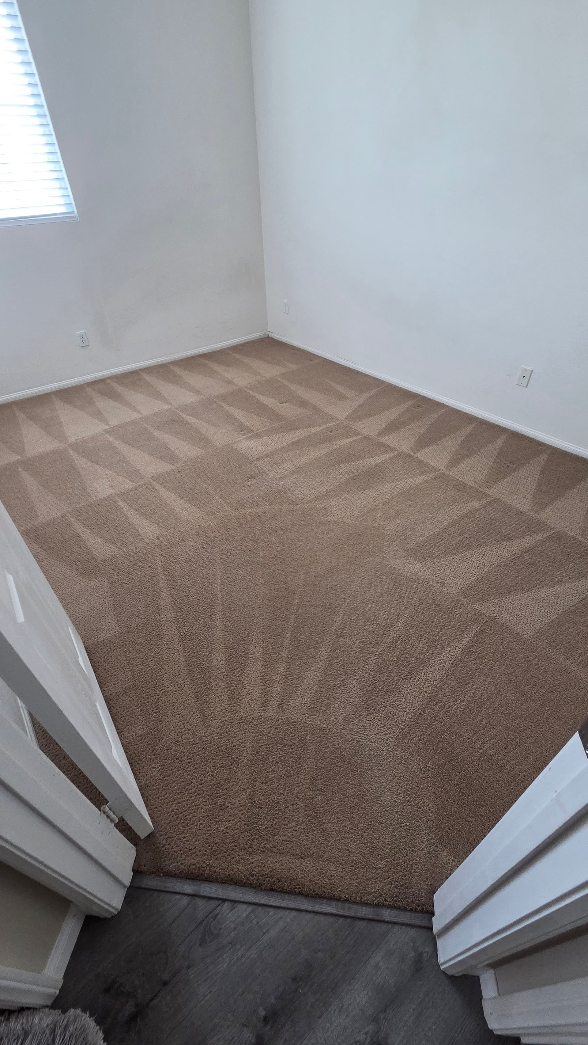 Bedroom Carpet Cleaned Back to Like-New Condition image