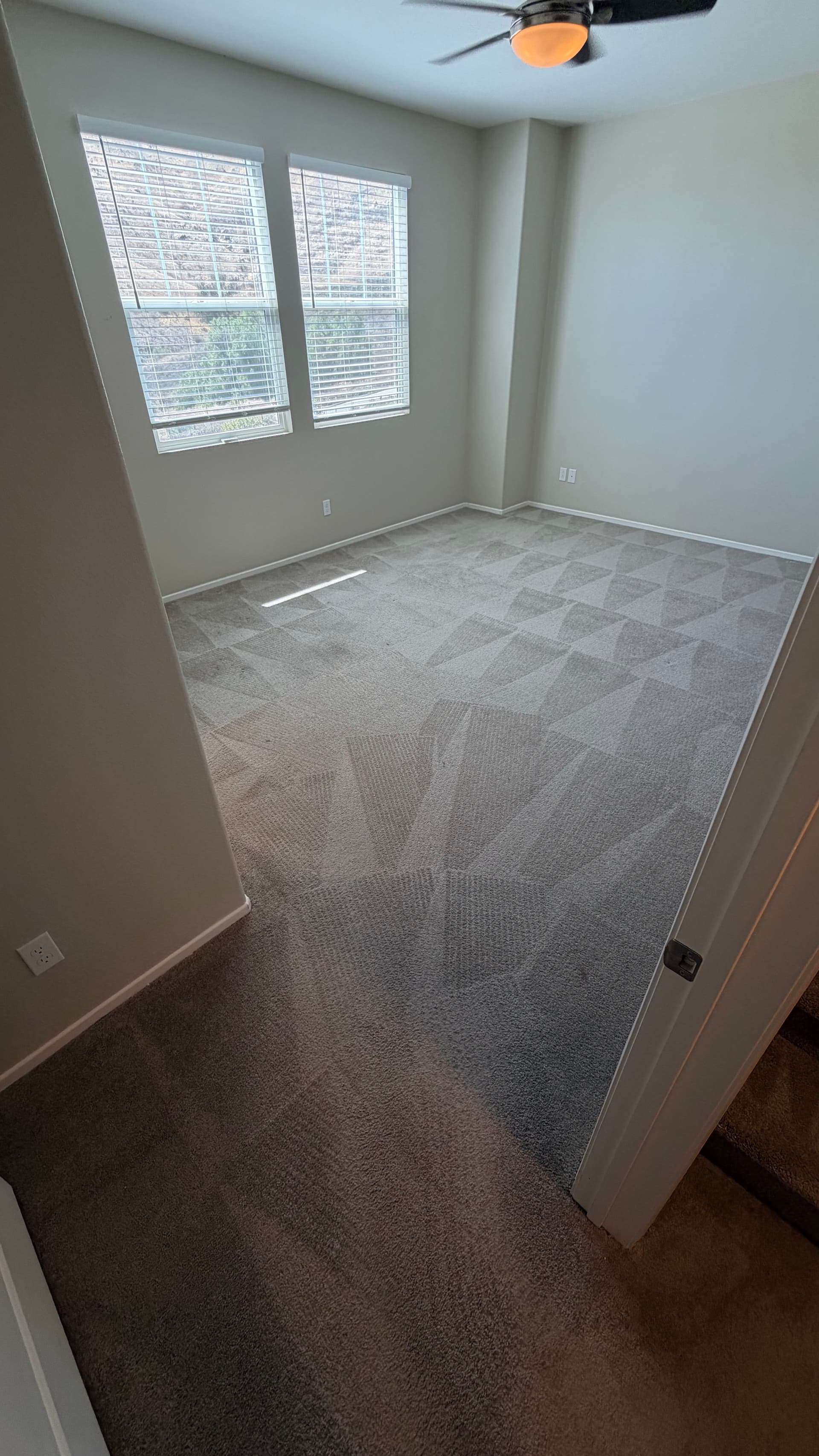 Deep Carpet Cleaning That Makes Floors Feel Brand New image