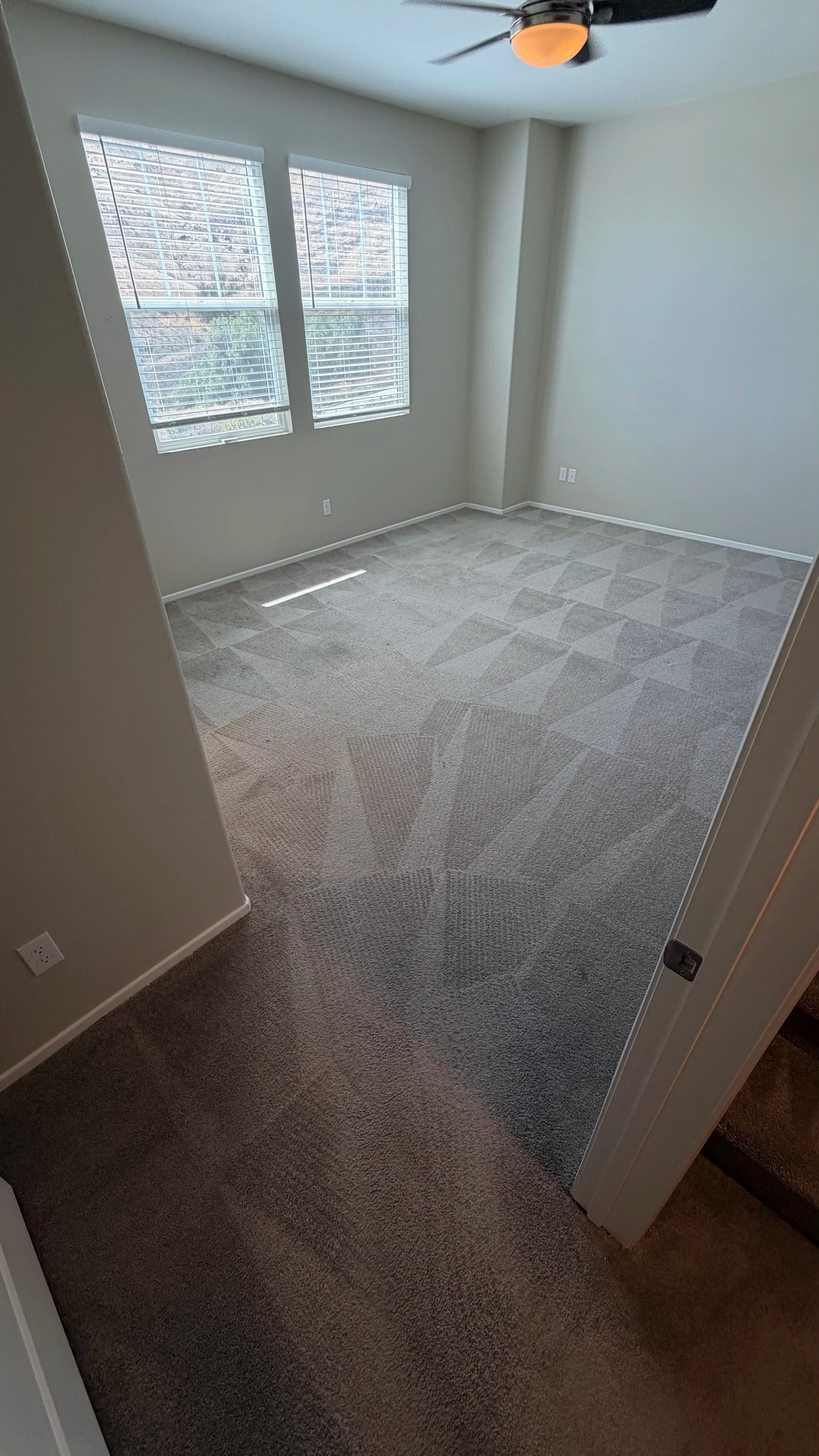 Project Deep Carpet Cleaning That Makes Floors Feel Brand New image
