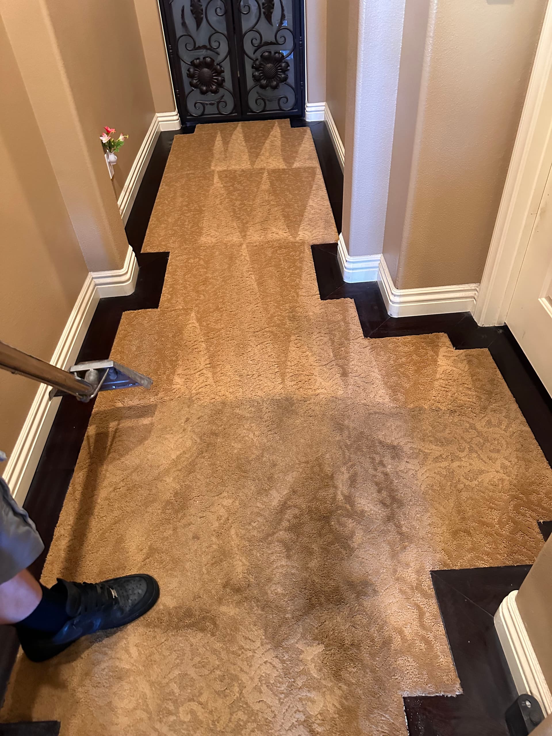 Carpet Cleaning Where Wood Meets Carpet Takes Real Skill image