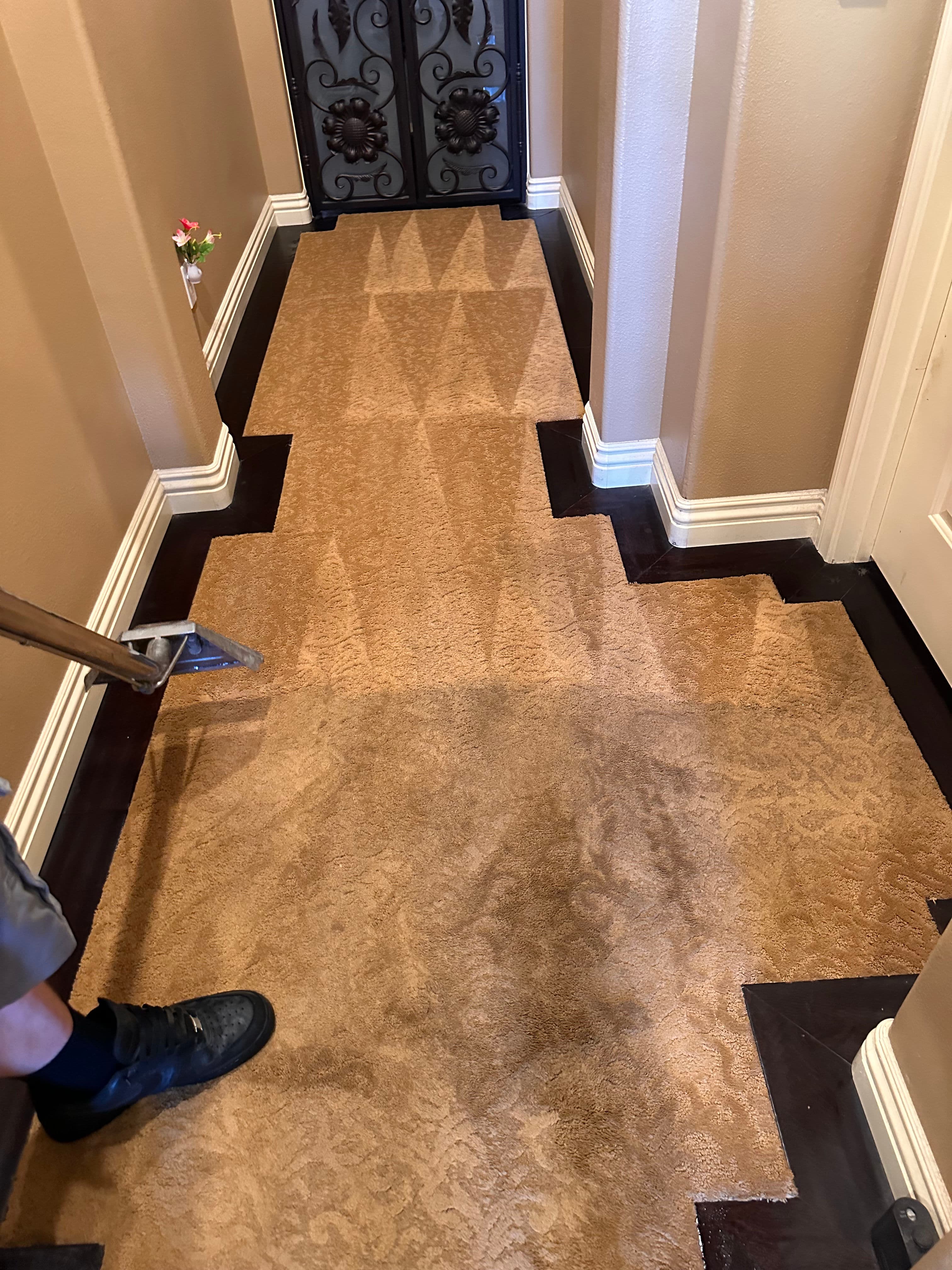 Project Carpet Cleaning Where Wood Meets Carpet Takes Real Skill image