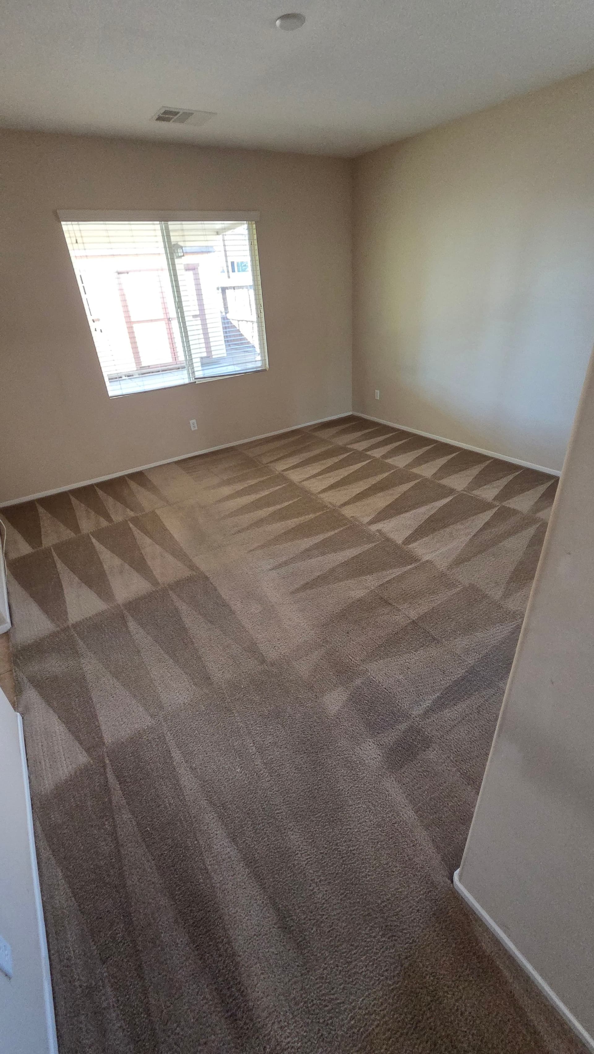 Gallery photos for Move-In Ready Carpet Cleaning Done Right: Image #1