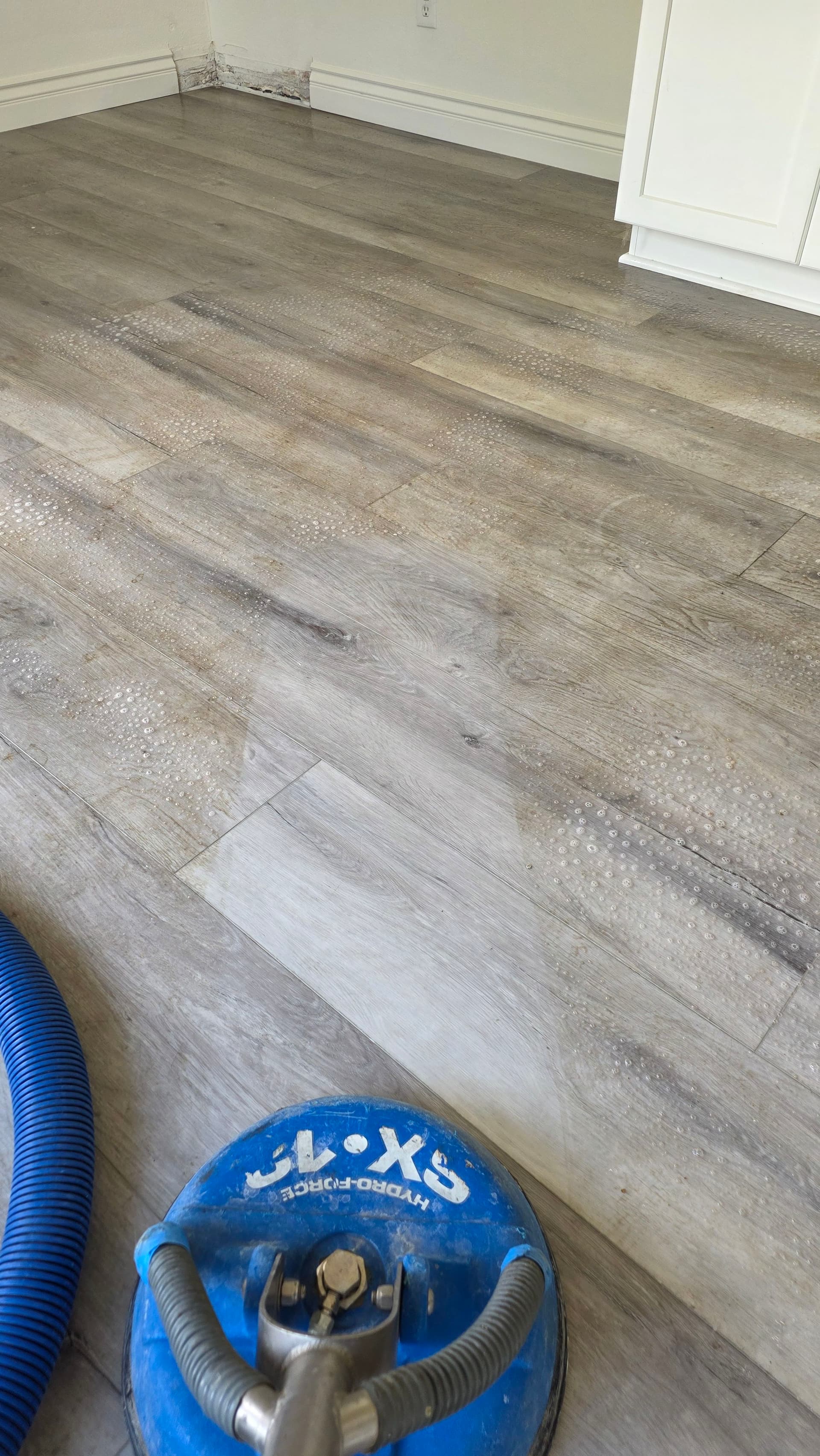Gallery photos for Why Your LVP Floors Still Look Dirty After Mopping: Image #1