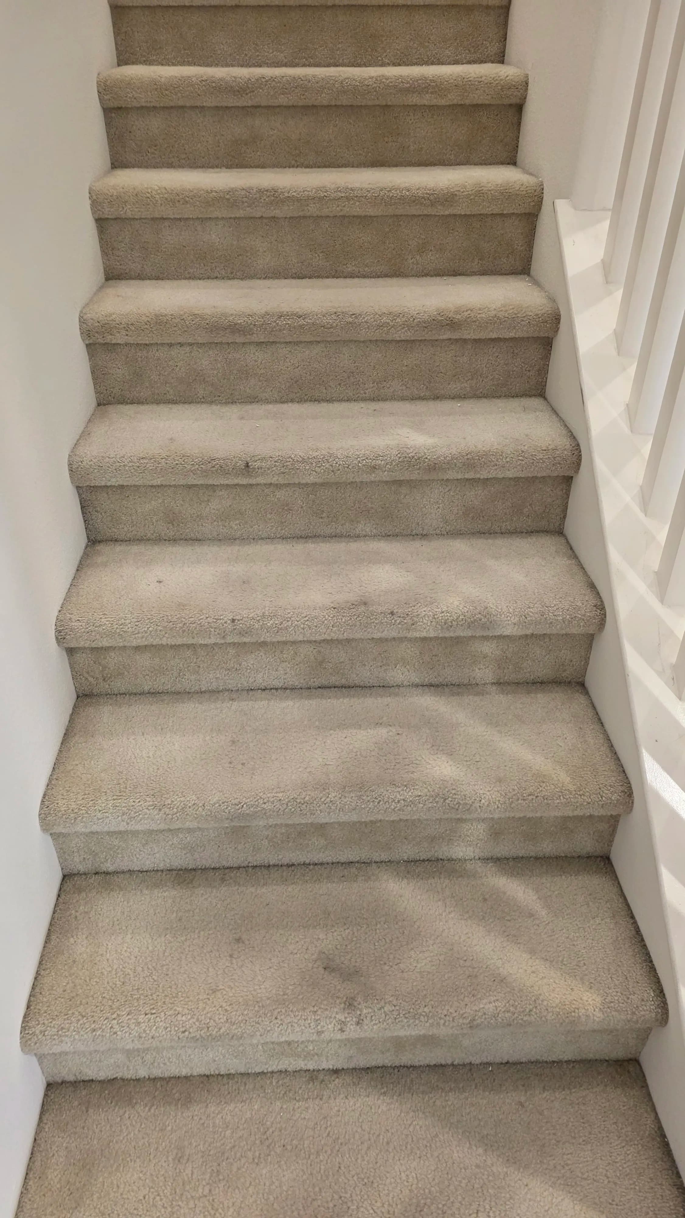 Project Stair Carpet Deep Clean That Actually Makes a Difference image