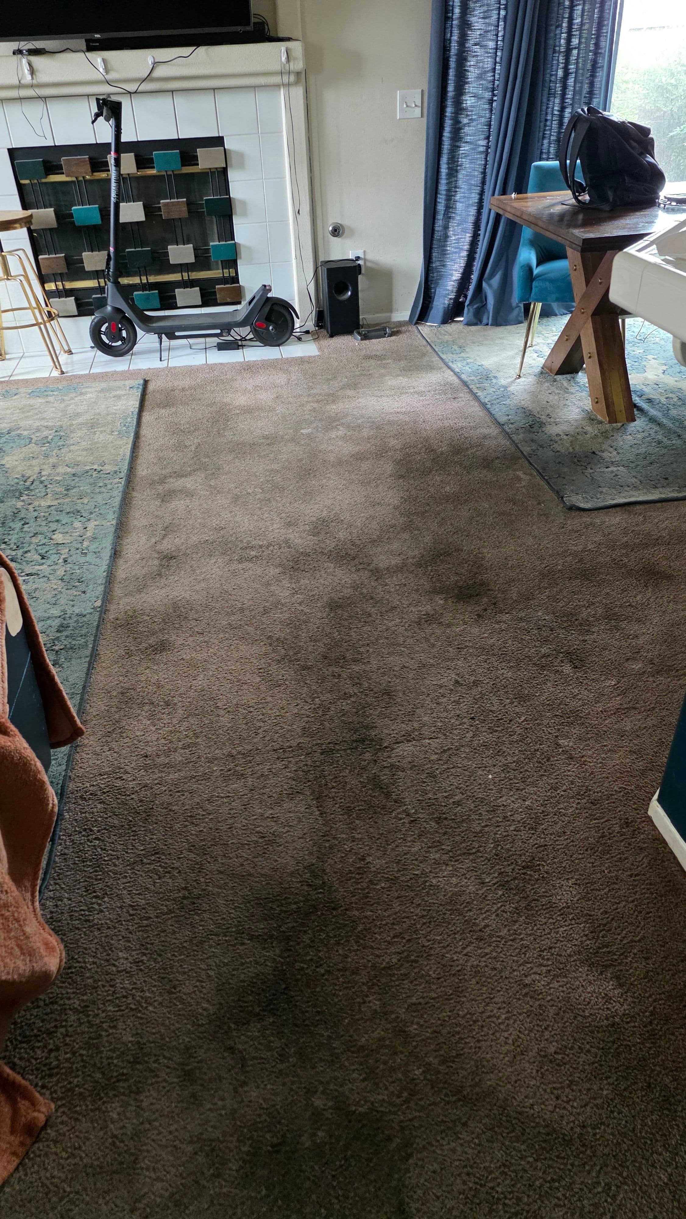 Project Living Room Carpet Cleaned Back to Its Best image