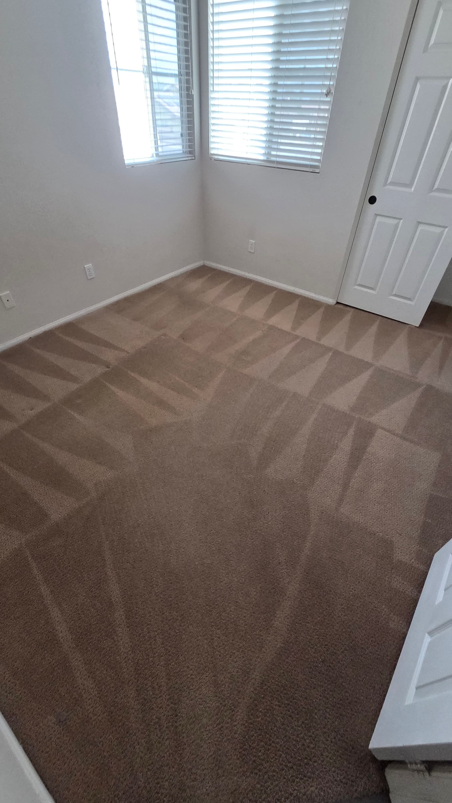 Gallery photos for Bedroom Carpet Cleaned Back to Like-New Condition: Image #1
