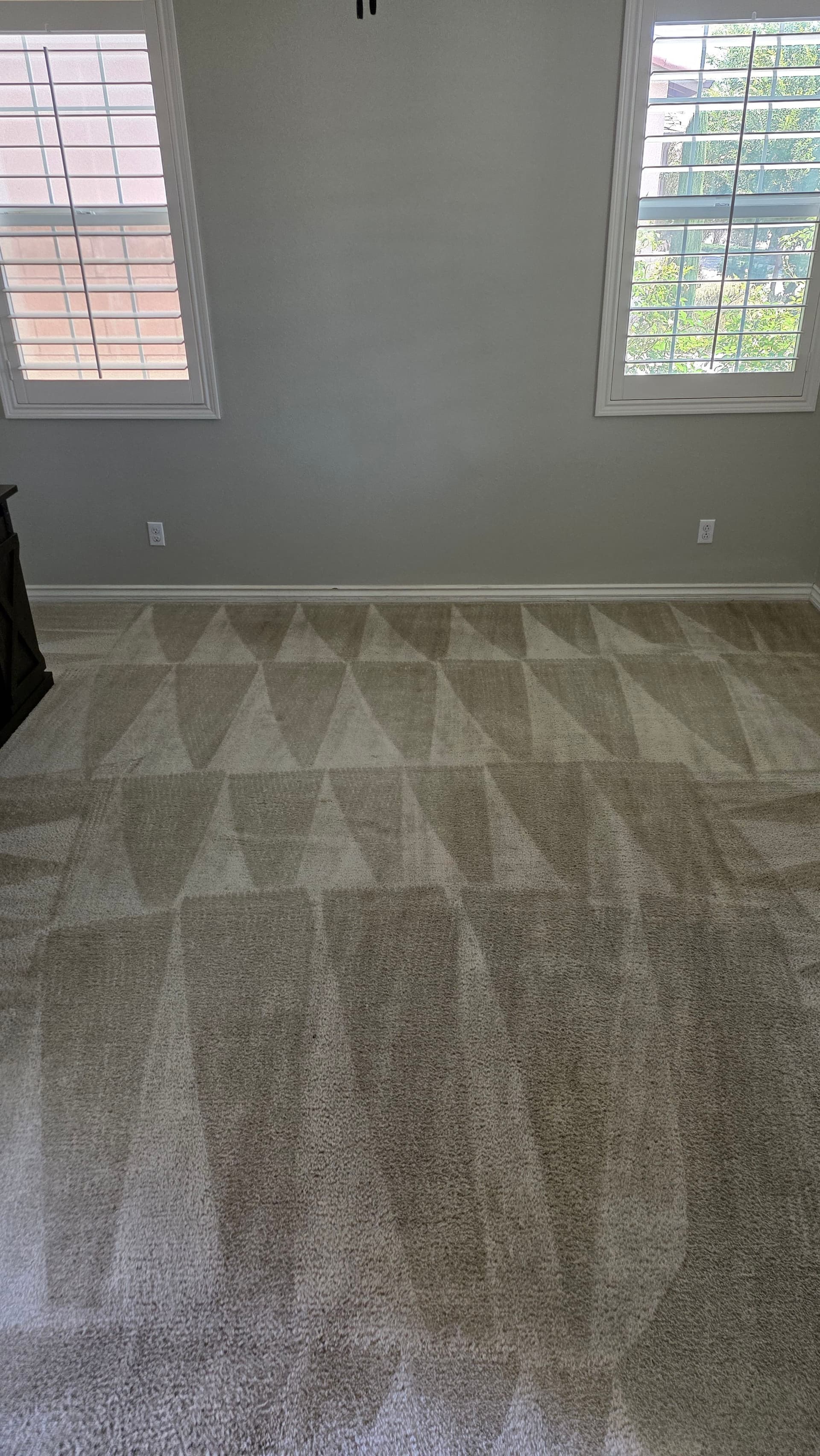 Gallery photos for Oil Stains and Pet Grime No Match for a Deep Carpet Clean: Image #1