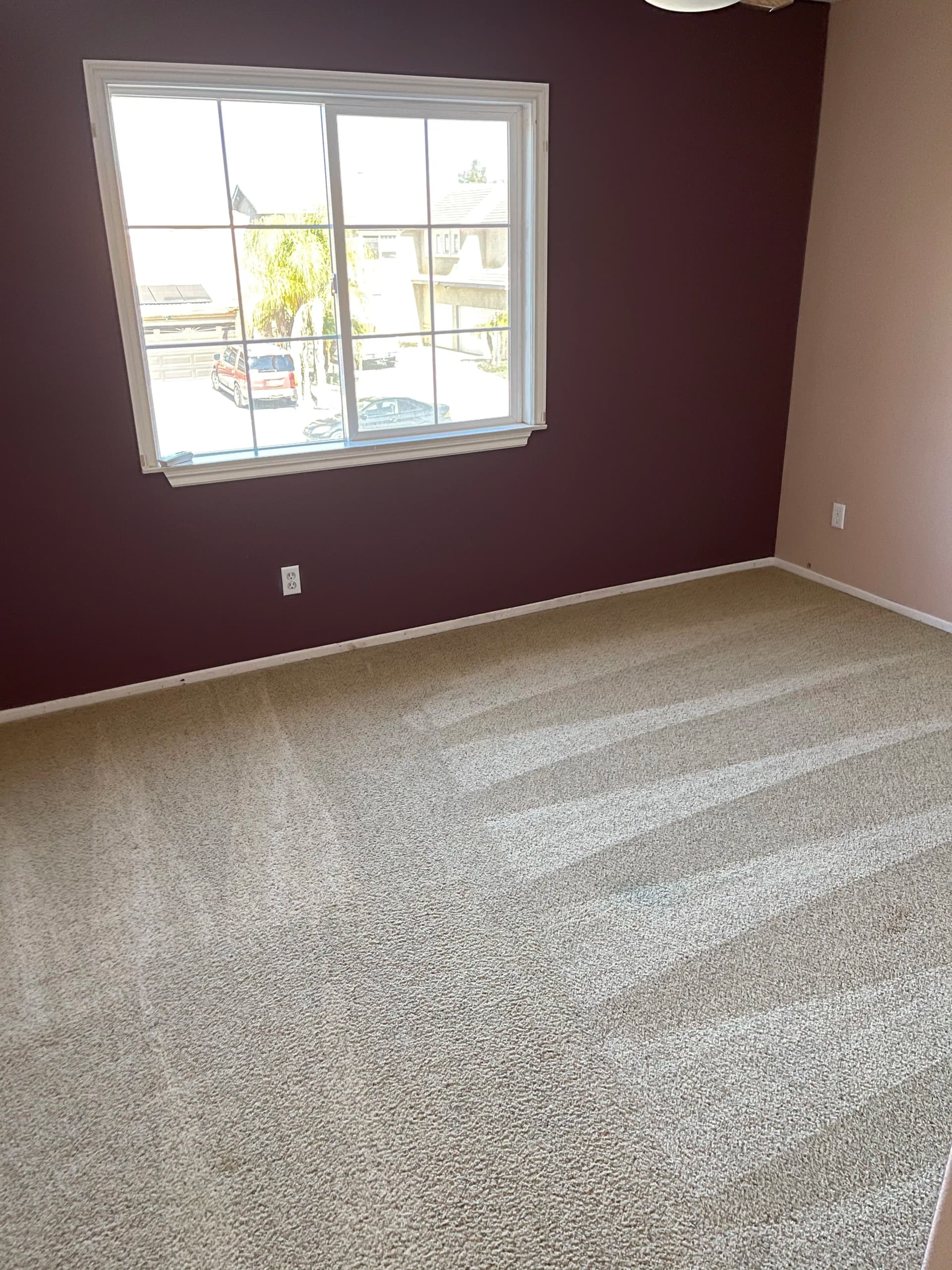 Gallery photos for Move-In Ready Carpet Cleaning Done Right: Image #1