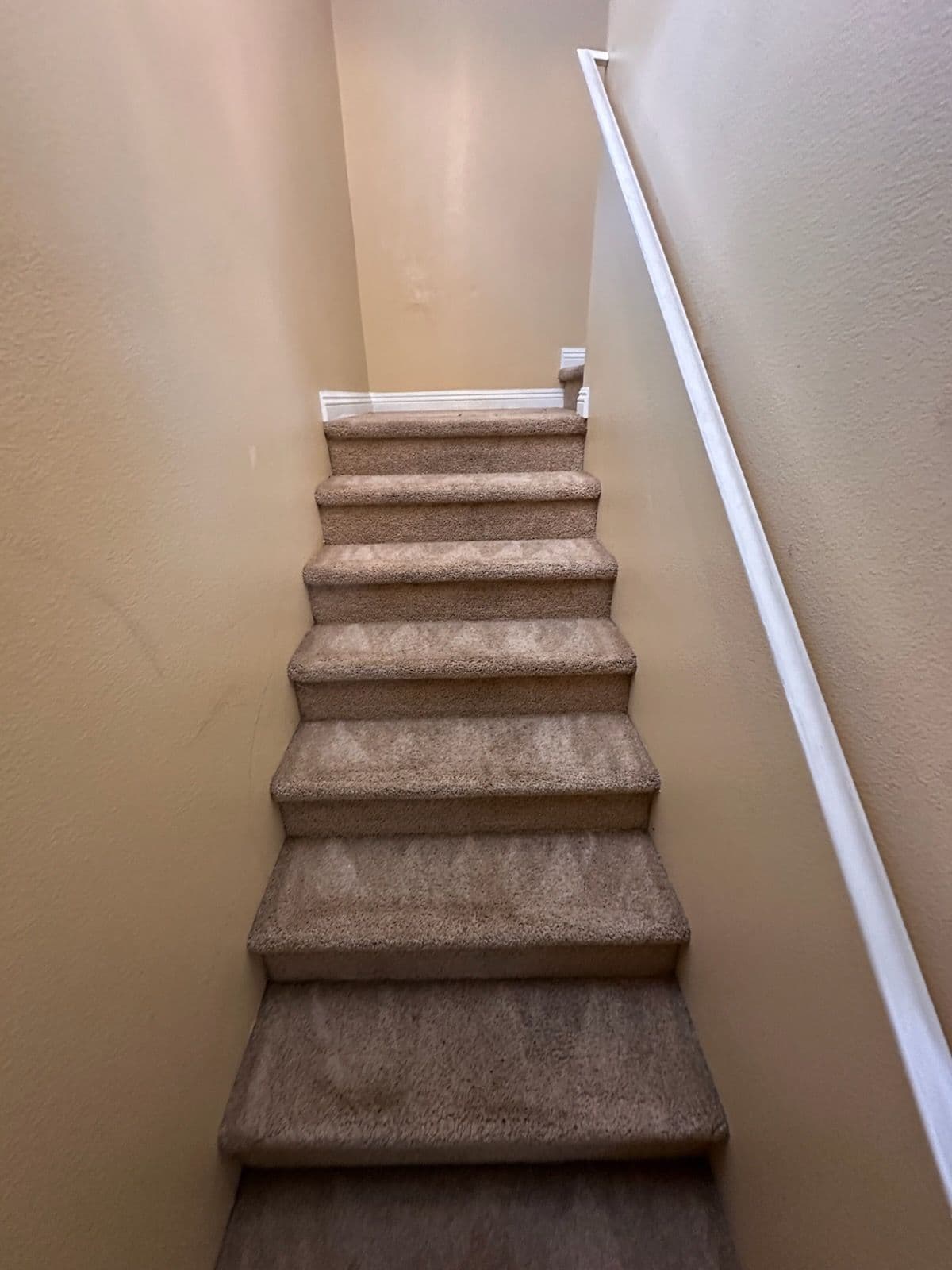 Gallery photos for Transform Your Stairs with Expert Carpet Cleaning: Image #1