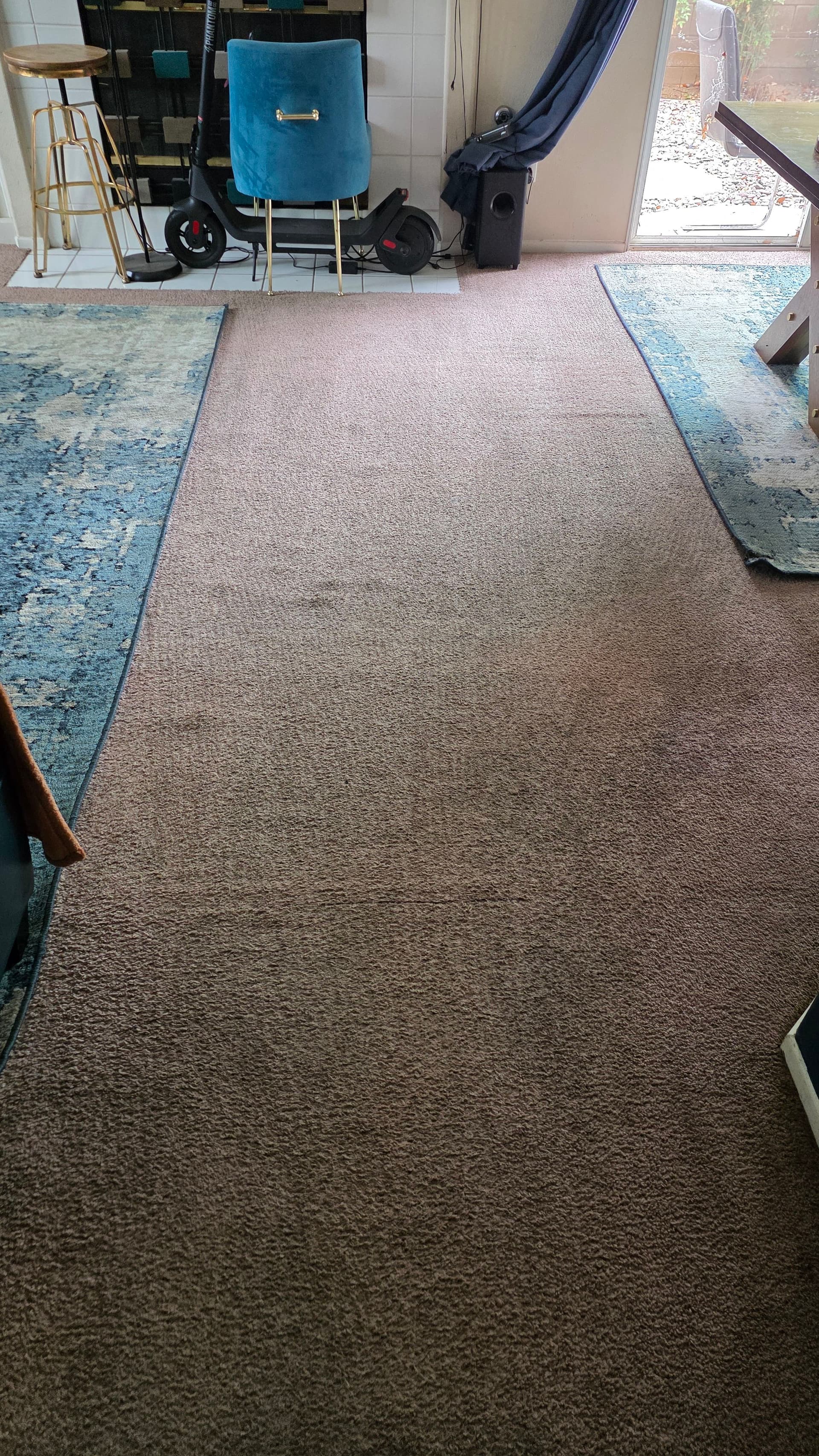 Gallery photos for Living Room Carpet Cleaned Back to Its Best: Image #1