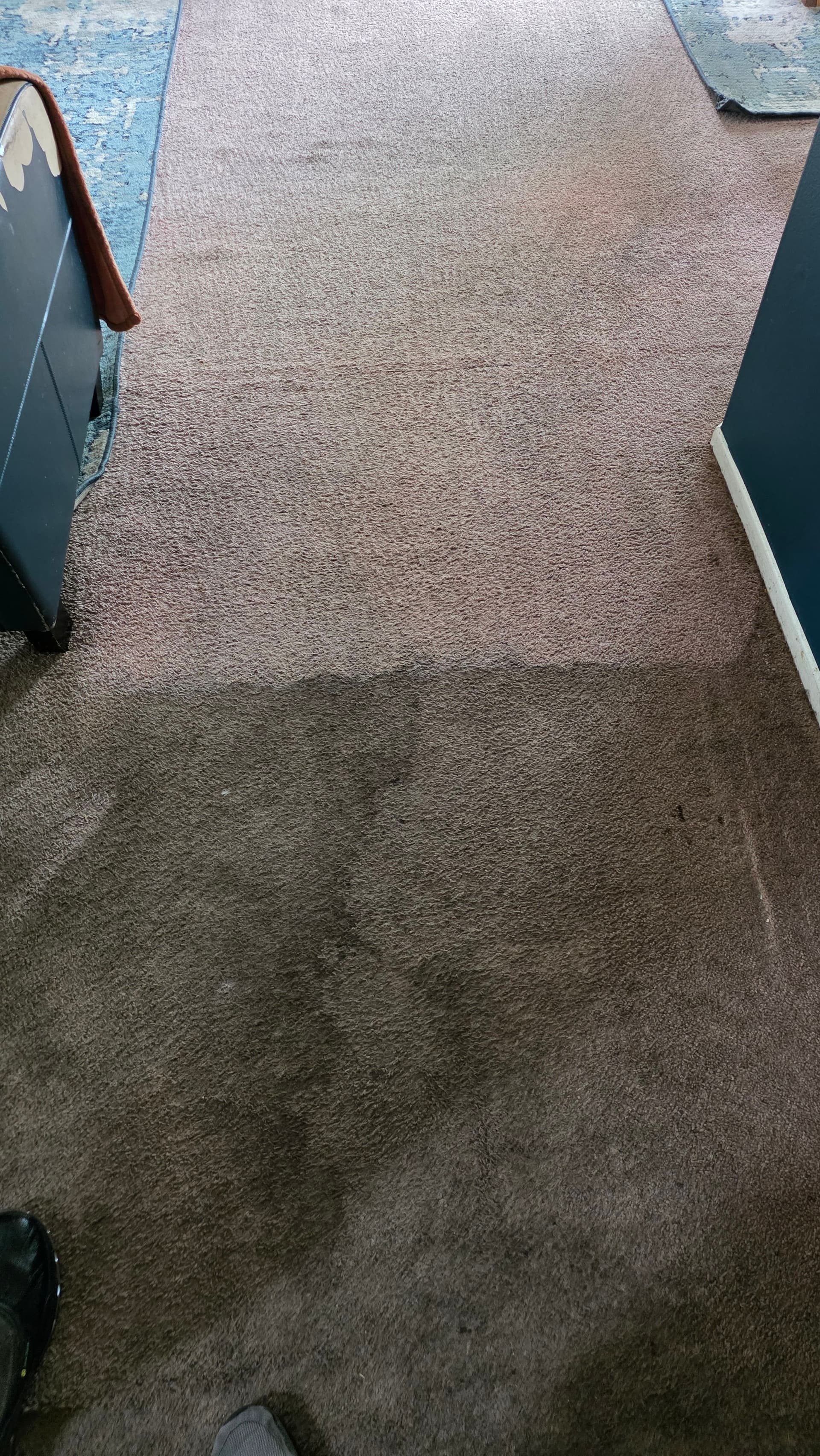 Deep Carpet Cleaning That Actually Makes a Difference image