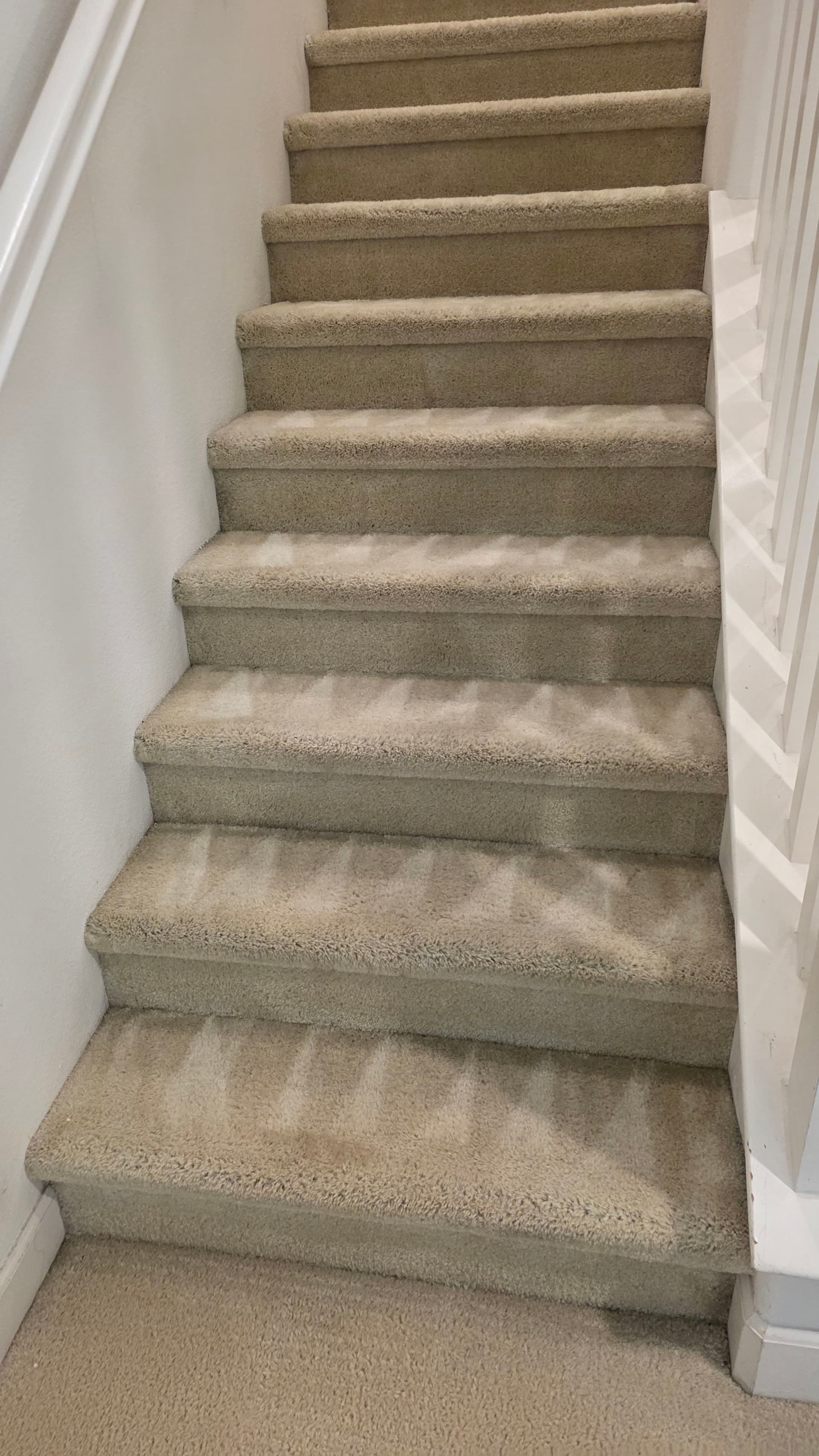 Gallery photos for Stair Carpet Deep Clean That Actually Makes a Difference: Image #1
