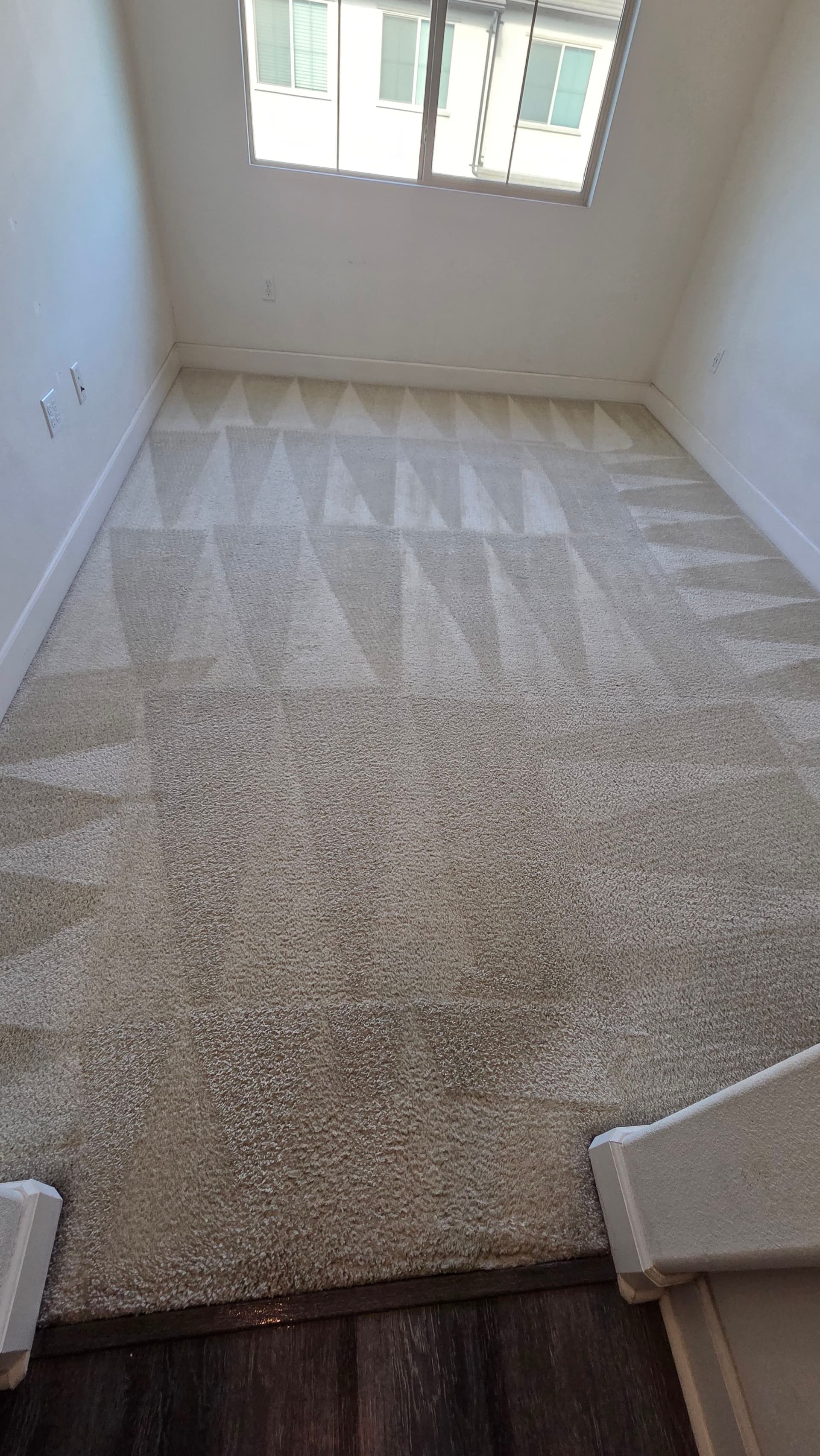 Gallery photos for Stair Carpet Deep Clean That Actually Makes a Difference: Image #2