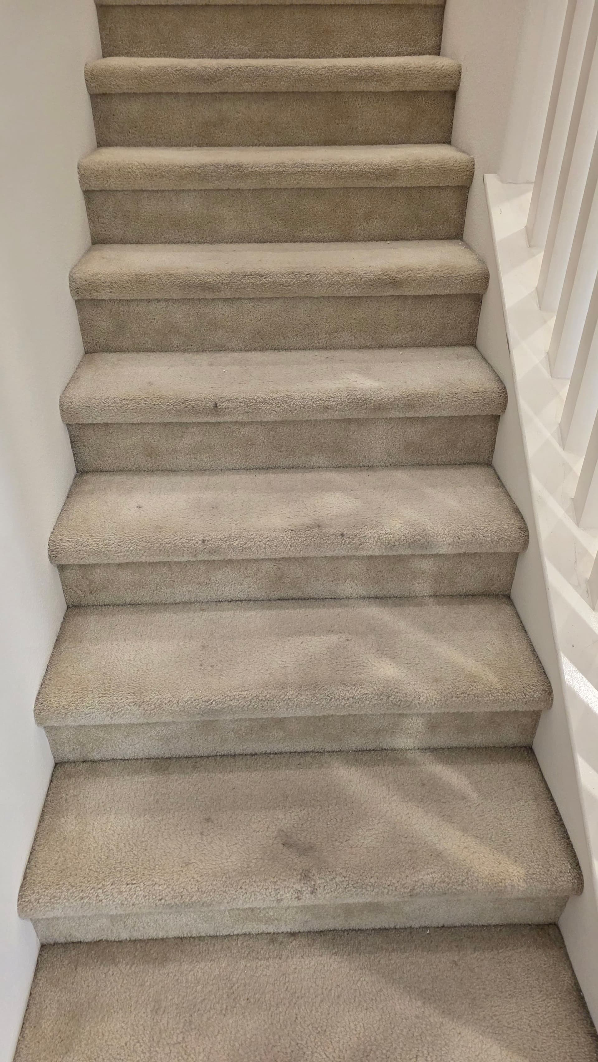 Stair Carpet Deep Clean That Actually Makes a Difference image
