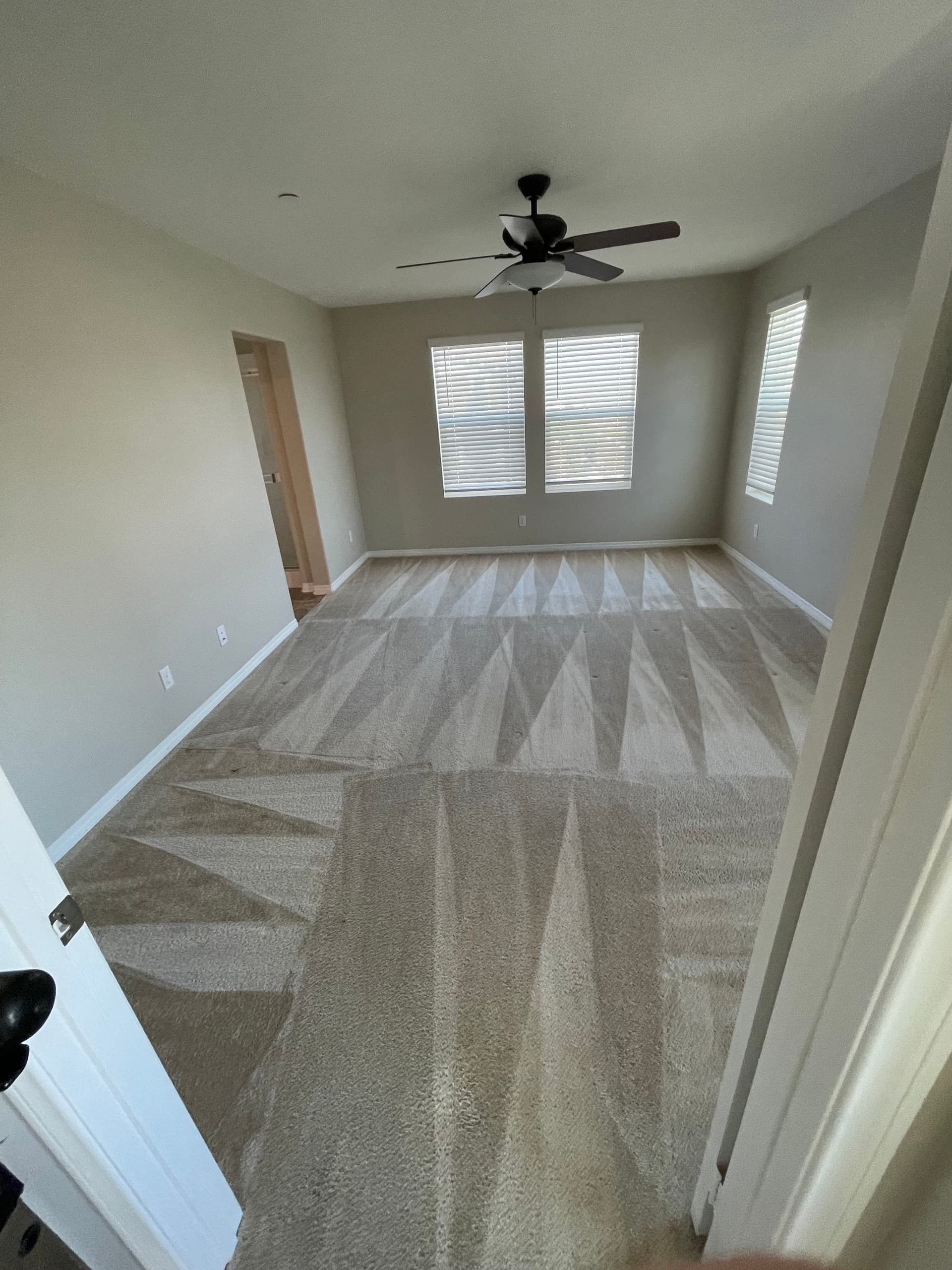 Move-In Ready Carpets That Actually Feel Like a Fresh Start image